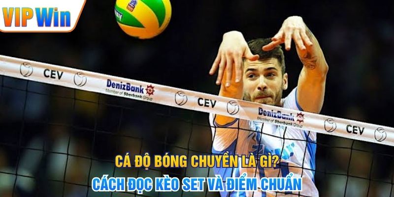 Cá Độ Bóng Chuyền Là Gì? Cách Đọc Kèo Set Và Điểm Chuẩn