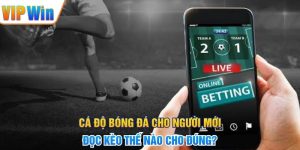 Cá Độ Bóng Đá Cho Người Mới - Đọc Kèo Thế Nào Cho Đúng?