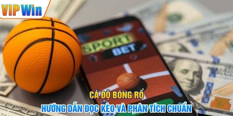 Cá Độ Bóng Rổ - Hướng Dẫn Đọc Kèo Và Phân Tích Chuẩn