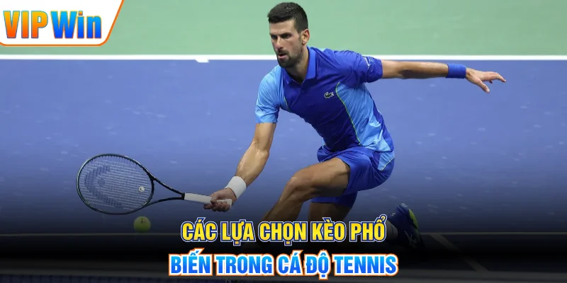 Các lựa chọn kèo phổ biến trong cá độ tennis