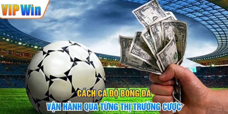 Cách cá độ bóng đá vận hành qua từng thị trường cược