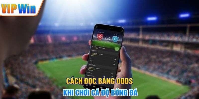 Cách đọc bảng odds khi chơi cá độ bóng đá