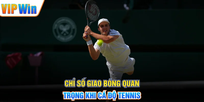 Chỉ số giao bóng quan trọng khi cá độ tennis