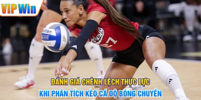 Đánh giá chênh lệch thực lực khi phân tích kèo cá độ bóng chuyền