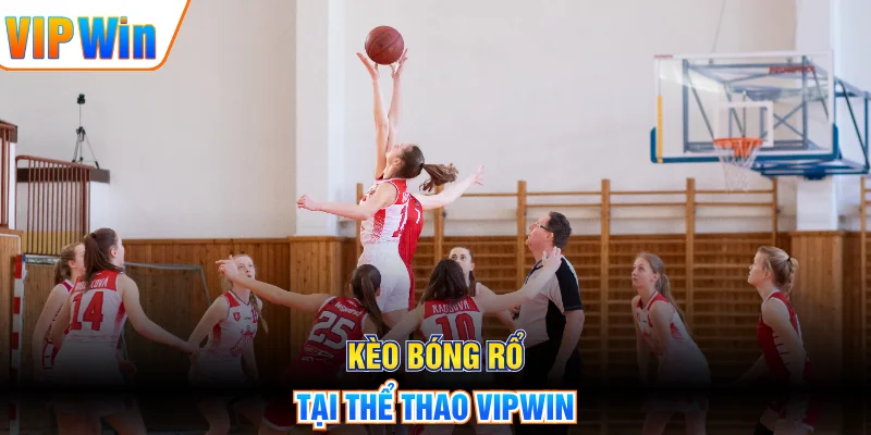 Kèo bóng rổ tại thể thao VIPWIN