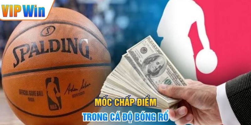 Cá Độ Bóng Rổ - Hướng Dẫn Đọc Kèo Và Phân Tích Chuẩn Mốc chấp điểm trong cá độ bóng rổ