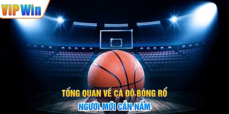 Cá Độ Bóng Rổ - Hướng Dẫn Đọc Kèo Và Phân Tích Chuẩn Tổng quan về cá độ bóng rổ người mới cần nắm